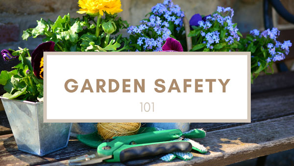 Image showing a pair of pruning shears and gardening gloves for an article about garden safety.