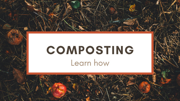 Learn How to Compost