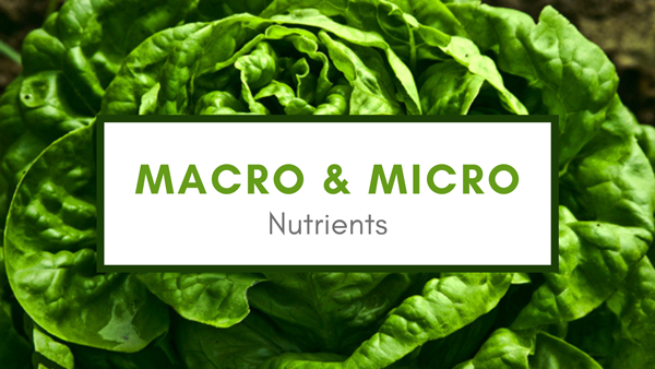 What are Macro and Micronutrients?