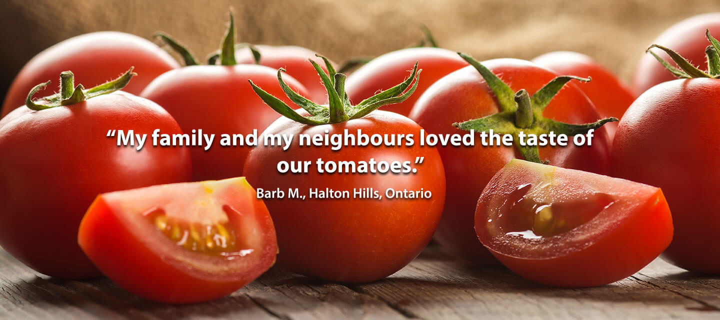 Testimonial from an IRON EARTH™ customer. "My family and my neighbours loved the taste of our tomatoes." Barb M, Halton Hills Ontario.